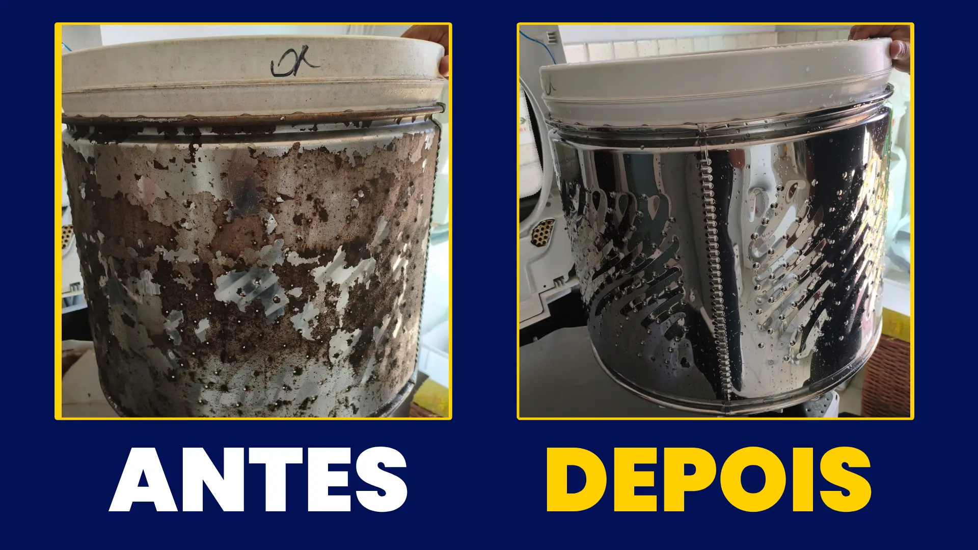 Novo Projeto (4)